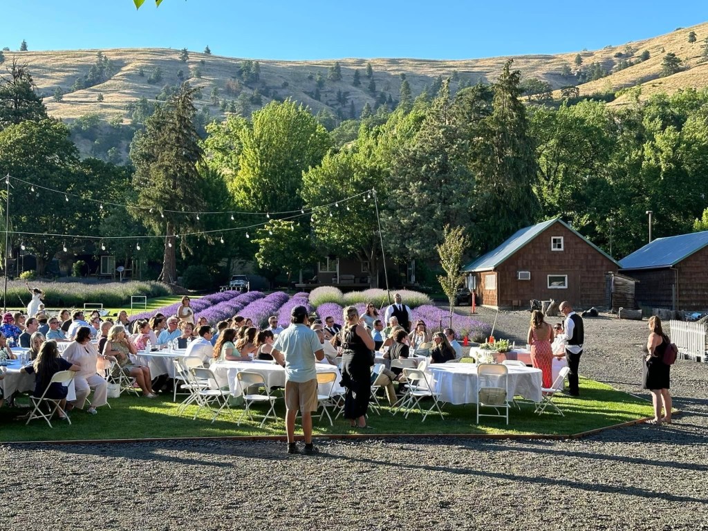 An outdoor wedding reception with guests seated at tables, surrounded by lavender fields and trees, under string lights and a clear blue sky.