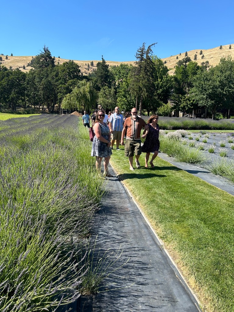 A group of people walking through a picturesque lavender field with lush greenery and rolling hills in the background, enjoying a sunny day.